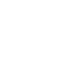 NUNN IP Services