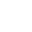 NUNN IP Services